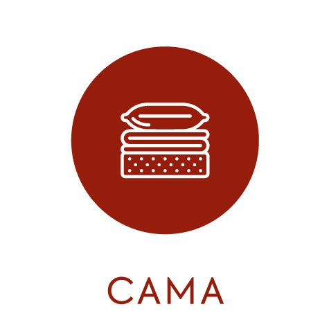 categoria 2